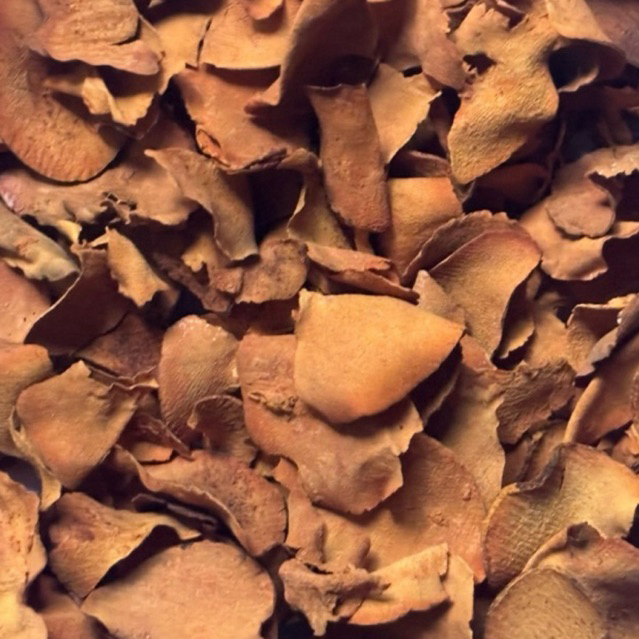 

Biji Alpukat Kering Iris 150 gram TERMURAH