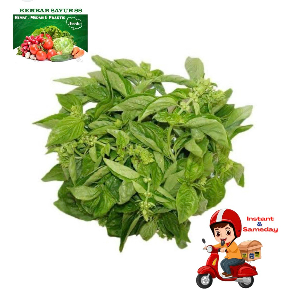 

Kemangi Fresh Lalapan Segar 1 ikat - Kembarsayur88