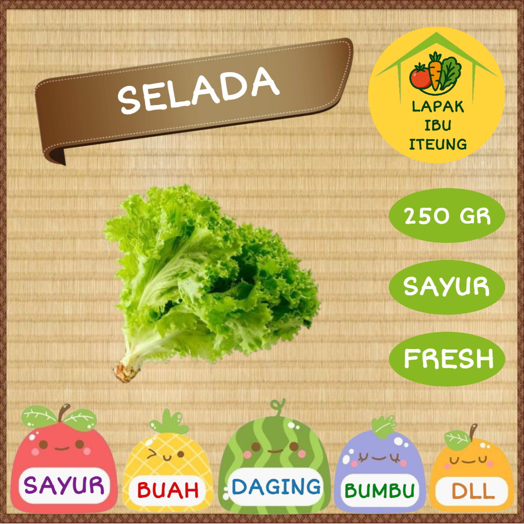 

SELADA INSTAN BANDUNG 1/4KG 250GR SEGAR FRESH SAYUR SAYURAN PASAR