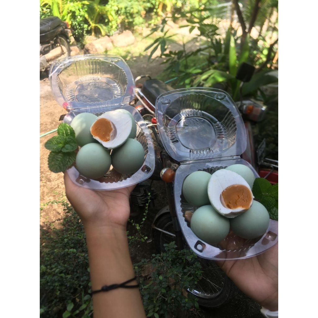 

Telur Asin Masir 1pack (4butir)