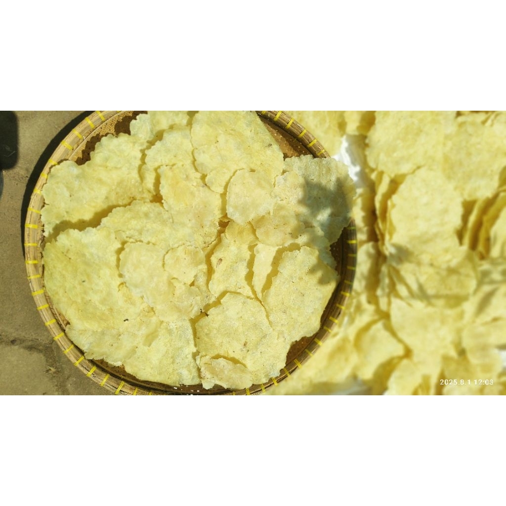 

EMPING MELINJO FULL KERING 1kg SiAP gORENg EMPING SUPER BESAR biji -+17-20