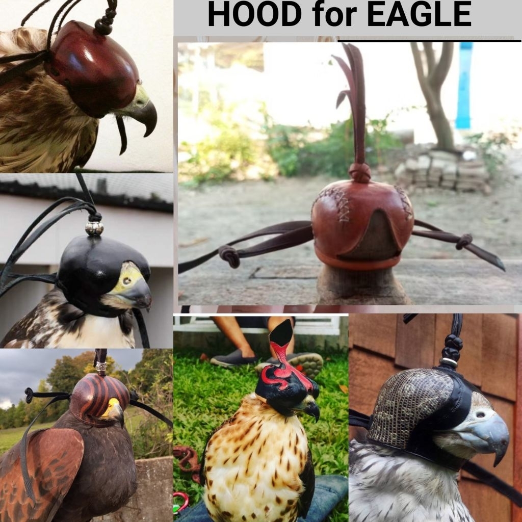 Hood Untuk Burung Elang