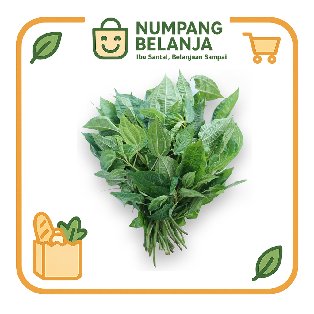 

pohpohan sayur fresh [1 ikat]