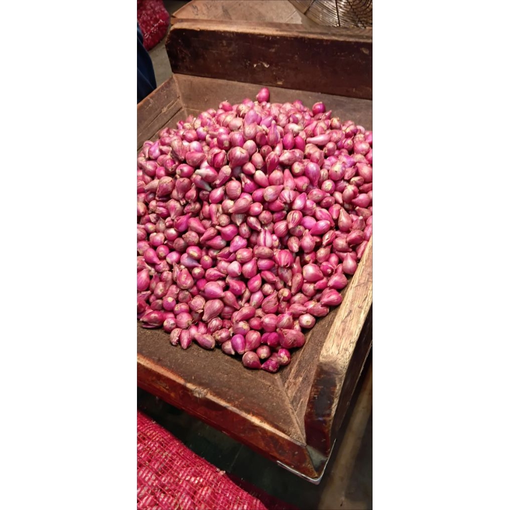 

bawang merah berkwalitas 1kg Rp 42000