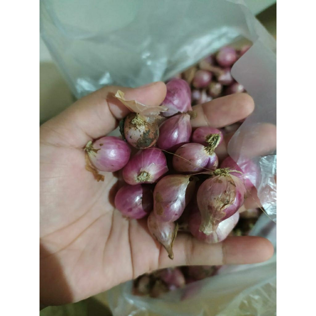 

[250gr] Bawang merah ukuran KECIL/CAMPUR harga murah brambang bumbu bawang merah seperempat kilo