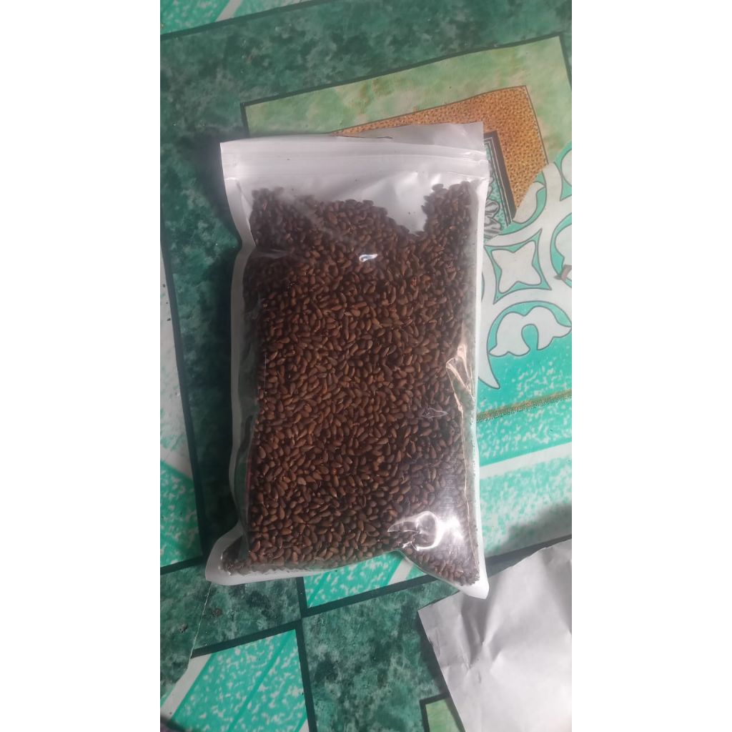 

biji balsa kemasan 100 gram-1kg