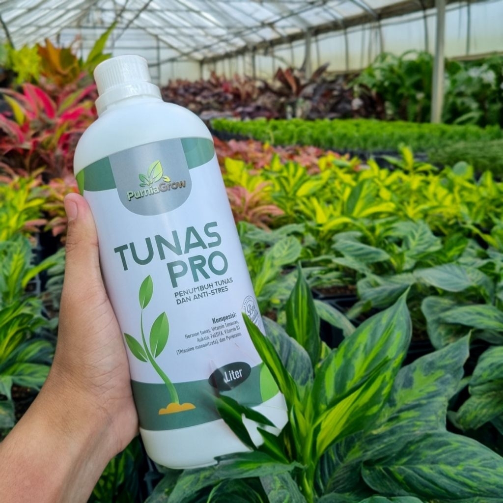 Tunas Pro Pupuk Perangsang Dan Perbanyak Tunas Baru Semua Tanaman By Pupuk Purniagrow