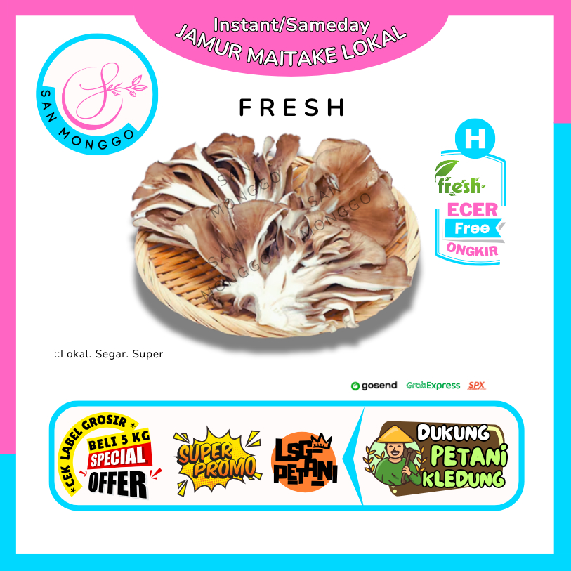 

Sanmonggoo >> Jamur Maitake Lokal Fresh -- Hasil bumi Sindoro Sumbing Ecer (H)