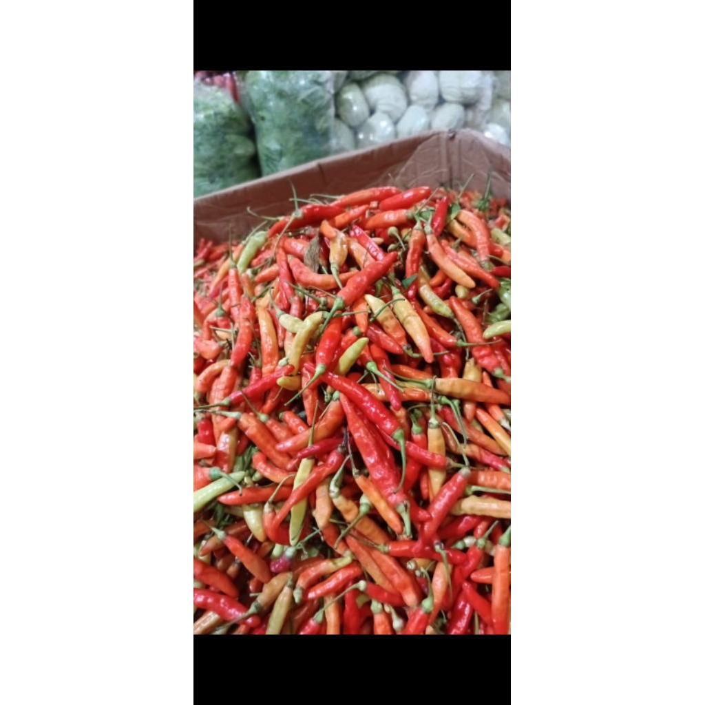 

RM(RAWIT MERAH) 1kg//1000 gram//ori//super