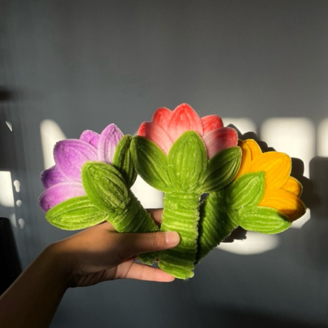 CERMIN | BUNGA CERMIN | CERMIN ESTETIK