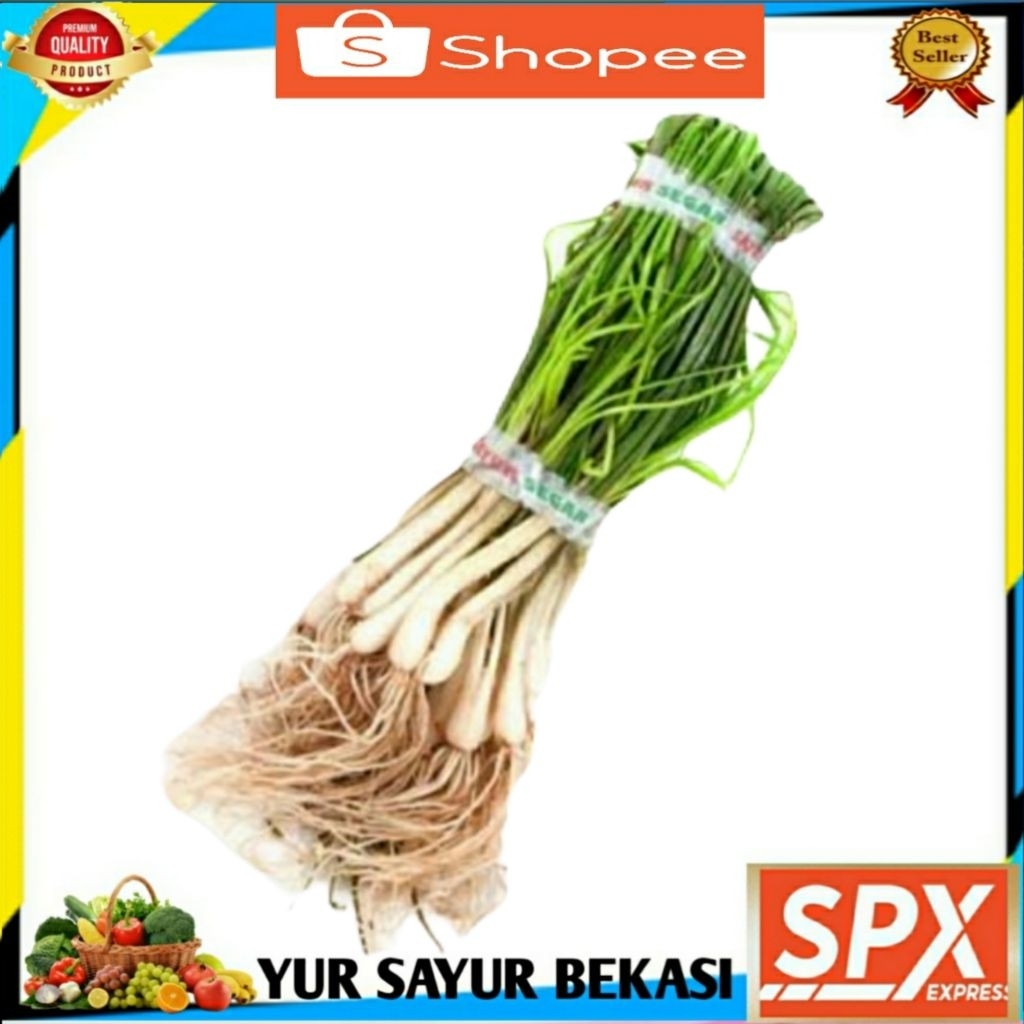 

Bawang Batak 2 ikat.