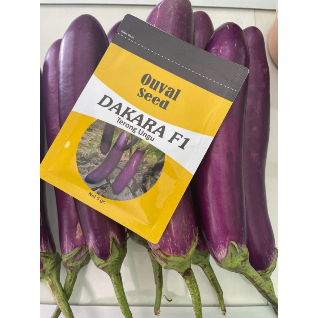 Bibit Terong Ungu Unggul Tahan Virus Isi Kemasan 1100 Butir Ouval Seed Exp di 2026