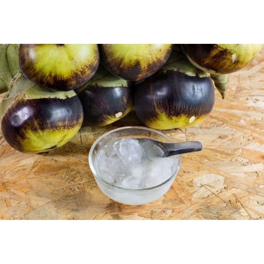 

Coco Raw Palm Asli Pohon Lontar | Segar dan Menyehatkan | menguatkan daya tahan tubuh asli murni