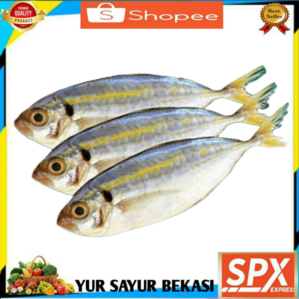 

Ikan Selar Kuning Segar 500gr.