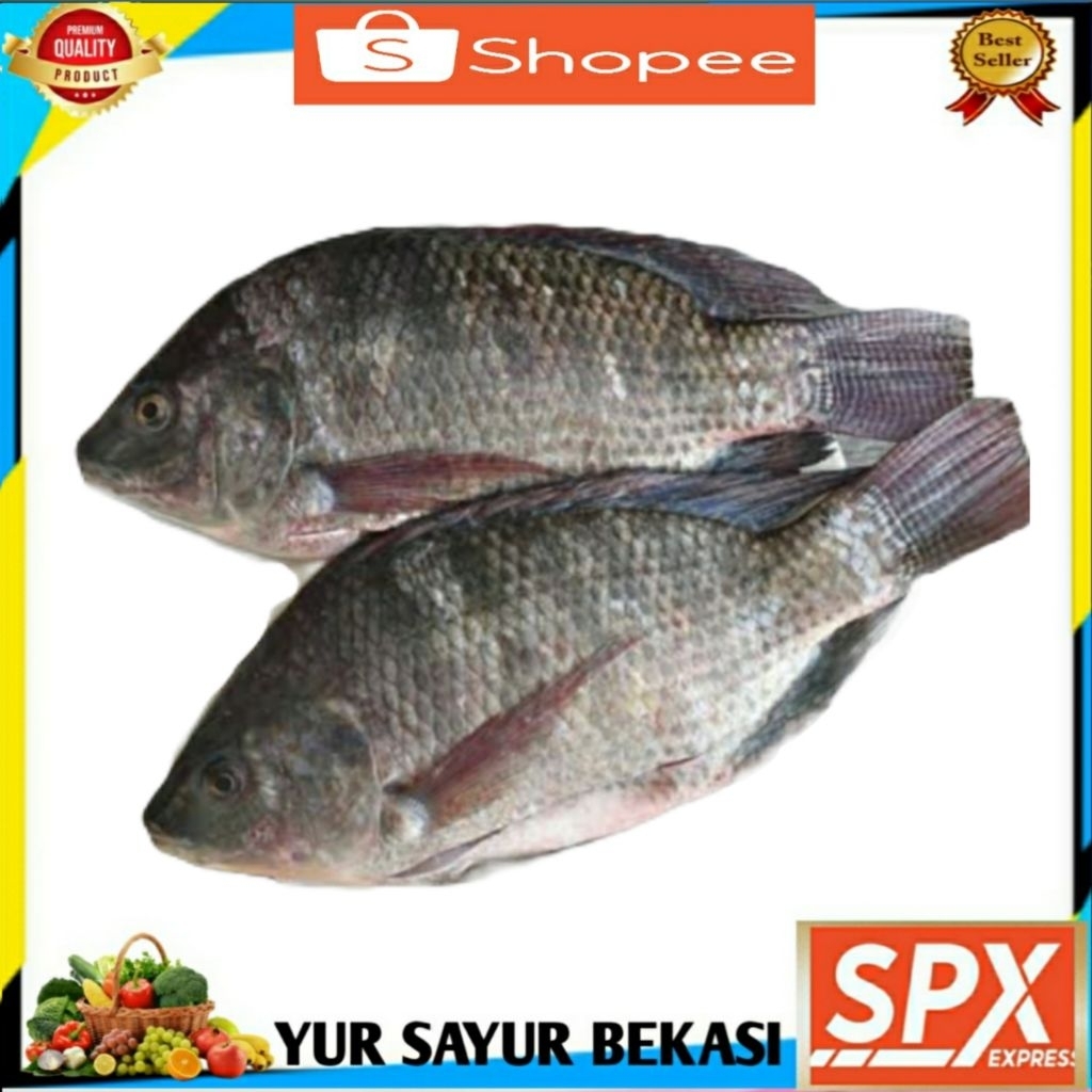 

Ikan Mujair Segar 500gr.