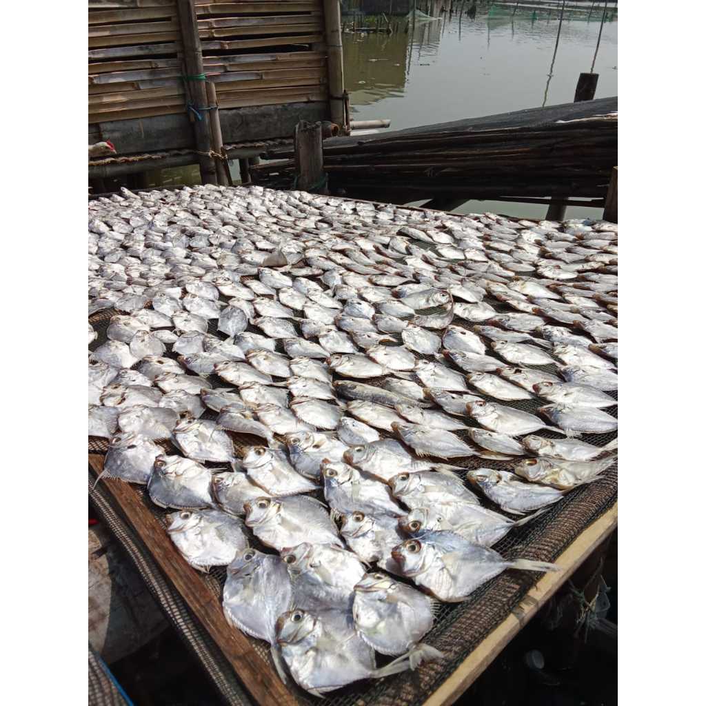 

ikan petek asin kering