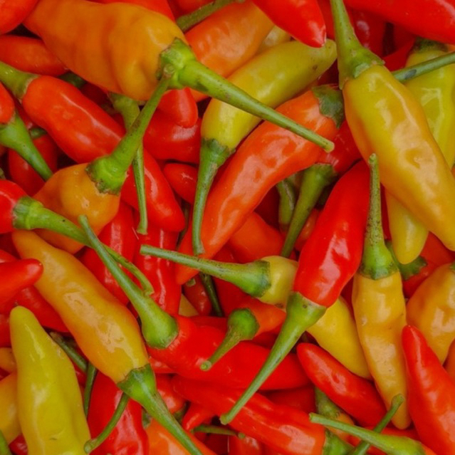 

CABE/CABAI RAWIT 1KG