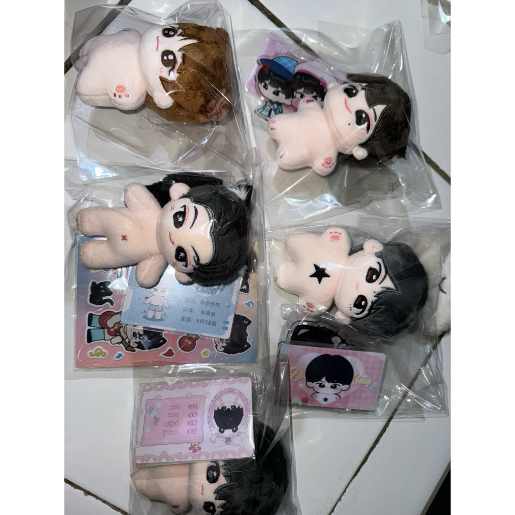 Doll jay jake sunoo heeseung boneka simcheesnut luckynoo kittyjay