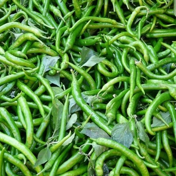 

Cabai keriting ijo 1kg fresh