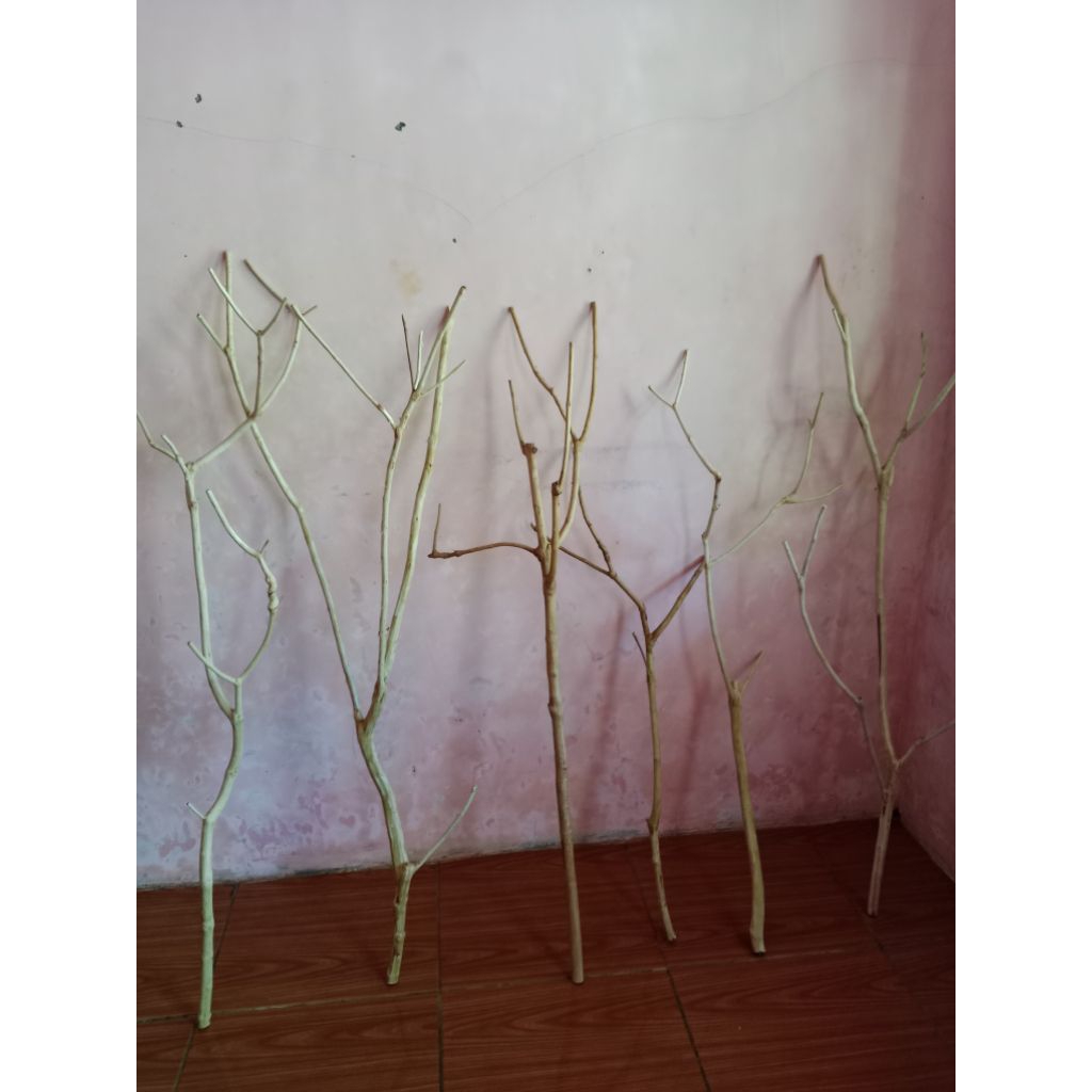 Bahan kerajinan ranting kayu pohon harendong gunung