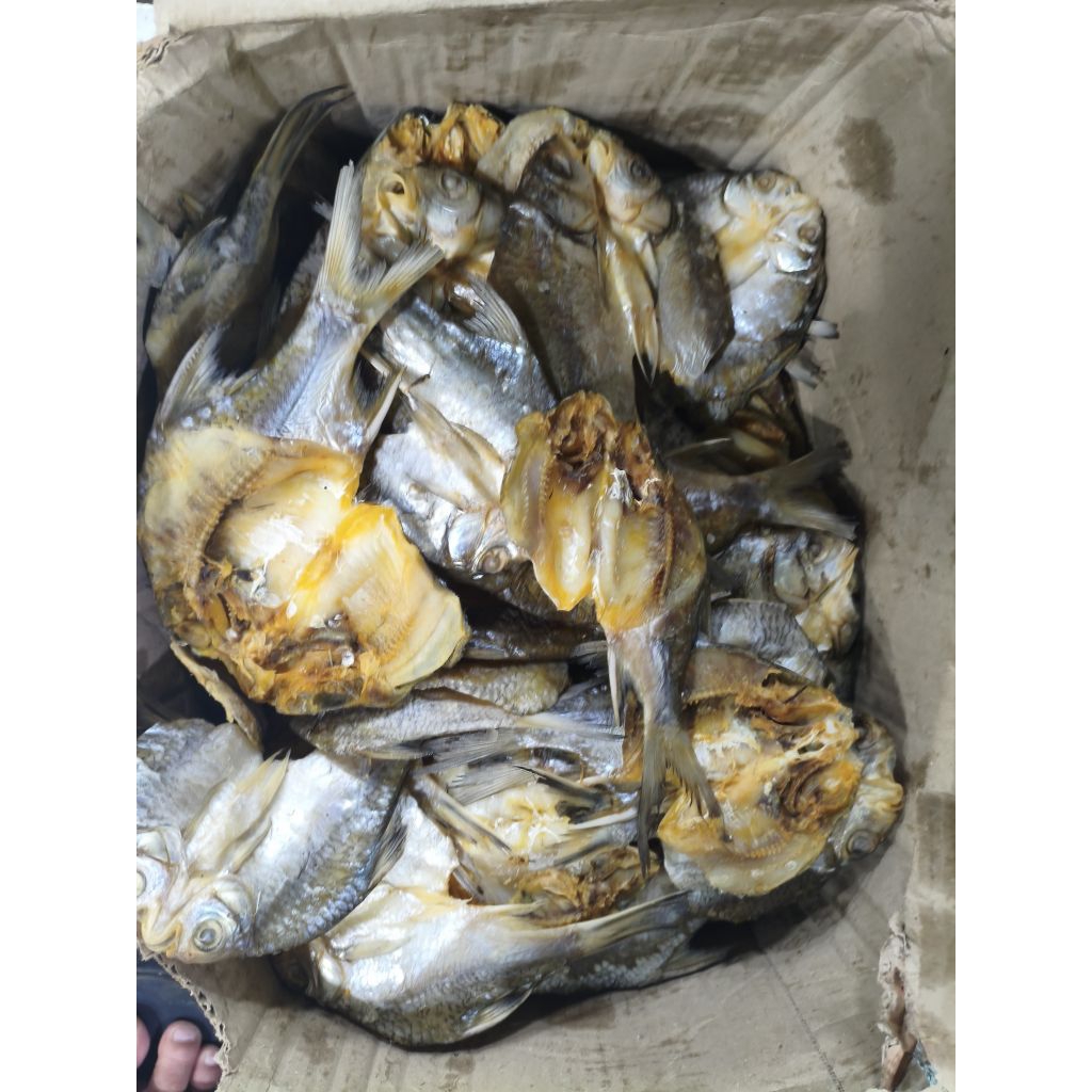 

ikan asin bader repang 500gram