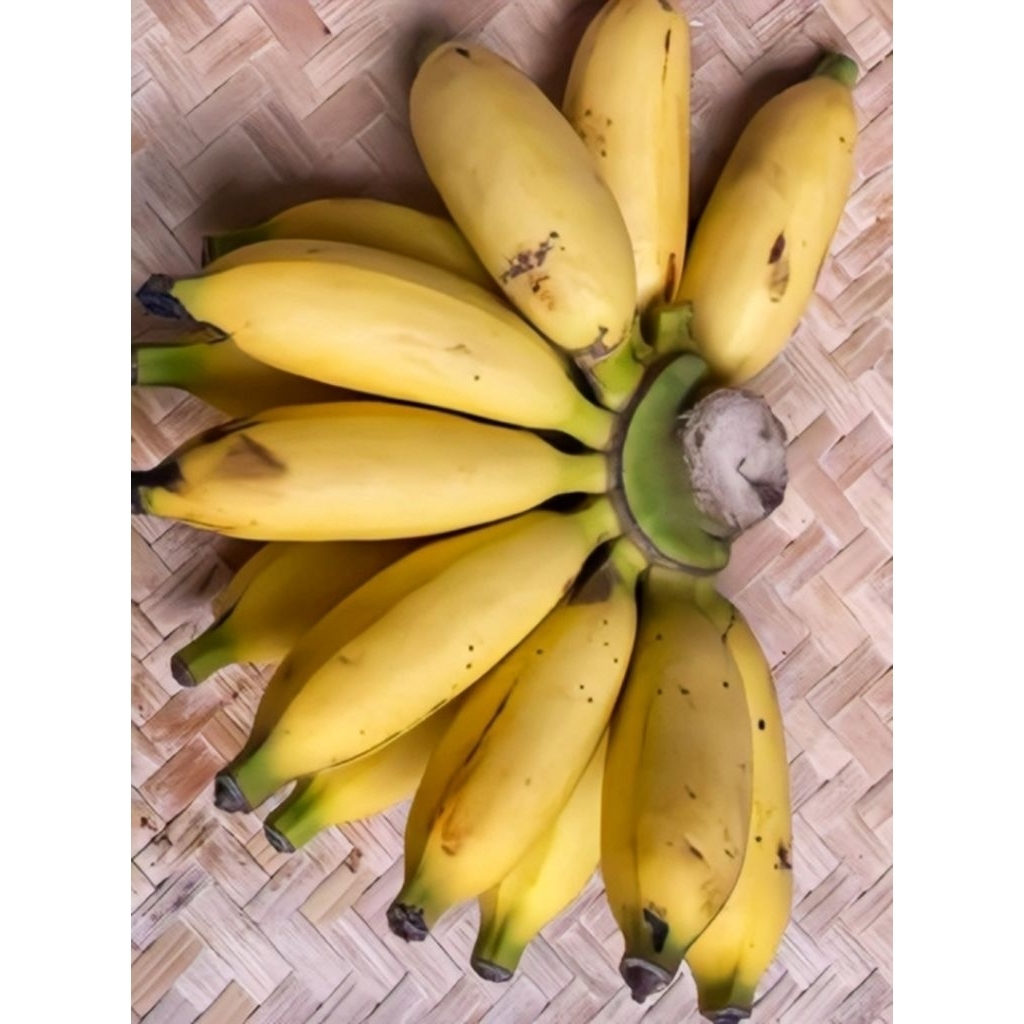 

Readystock ya kaka, pisang lampung nya, di jamin masih fresh!!