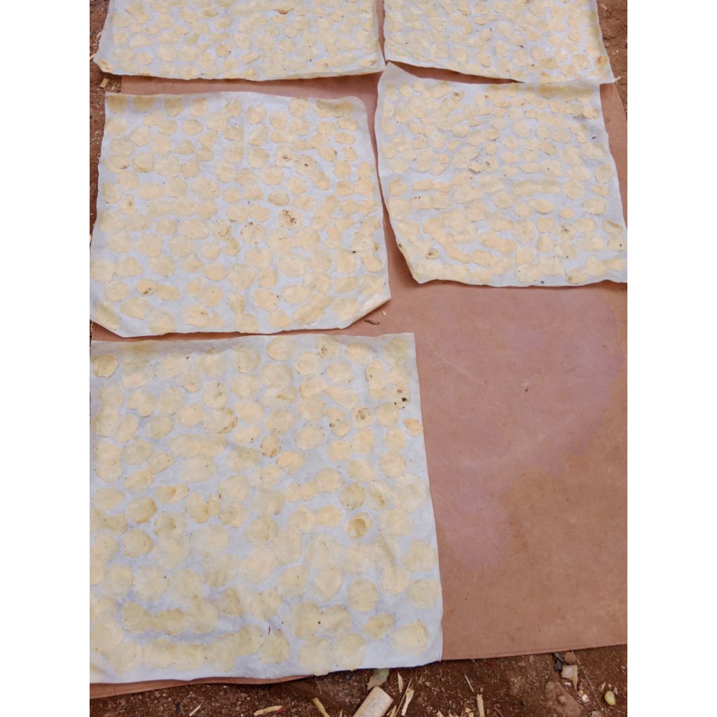 

EMPING MELINJO/EMPING TANGKIL SUPER BIJI 1TIPIS 1KG