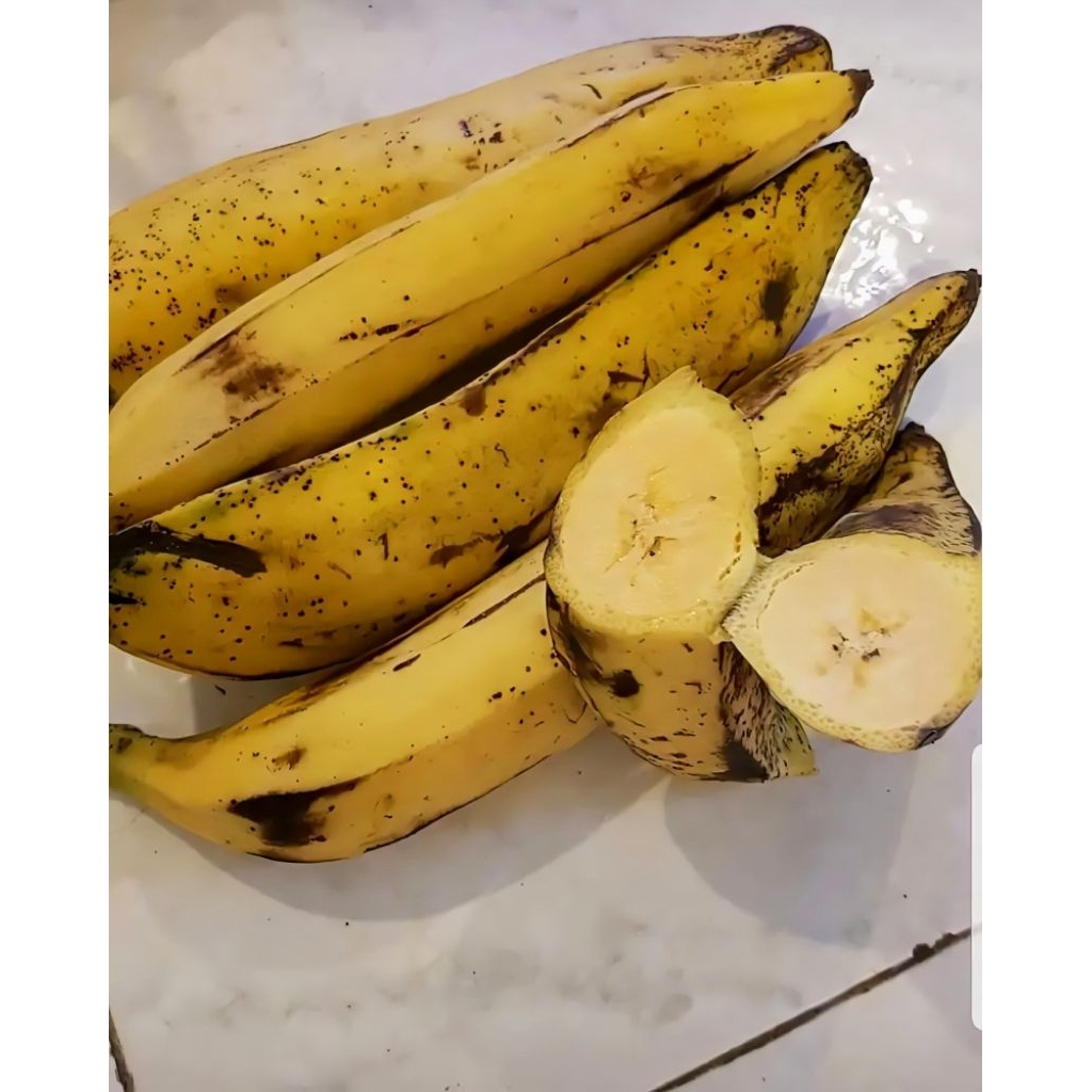 

Readystock ya kak pisang tanduk matang nya, di jamin 100℅ fresh ya hasil kebun sendiri!!