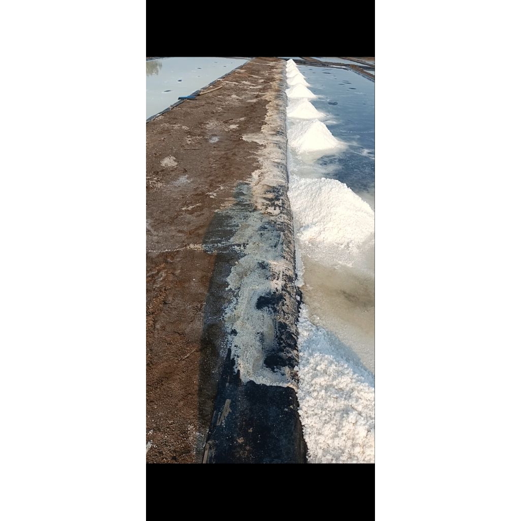 

Garam Krosok 10 Kg Kualitas Terbaik