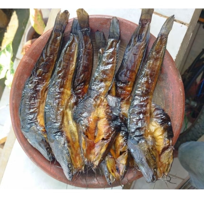 

Lele Asap Lele Panggang 5 biji fresh