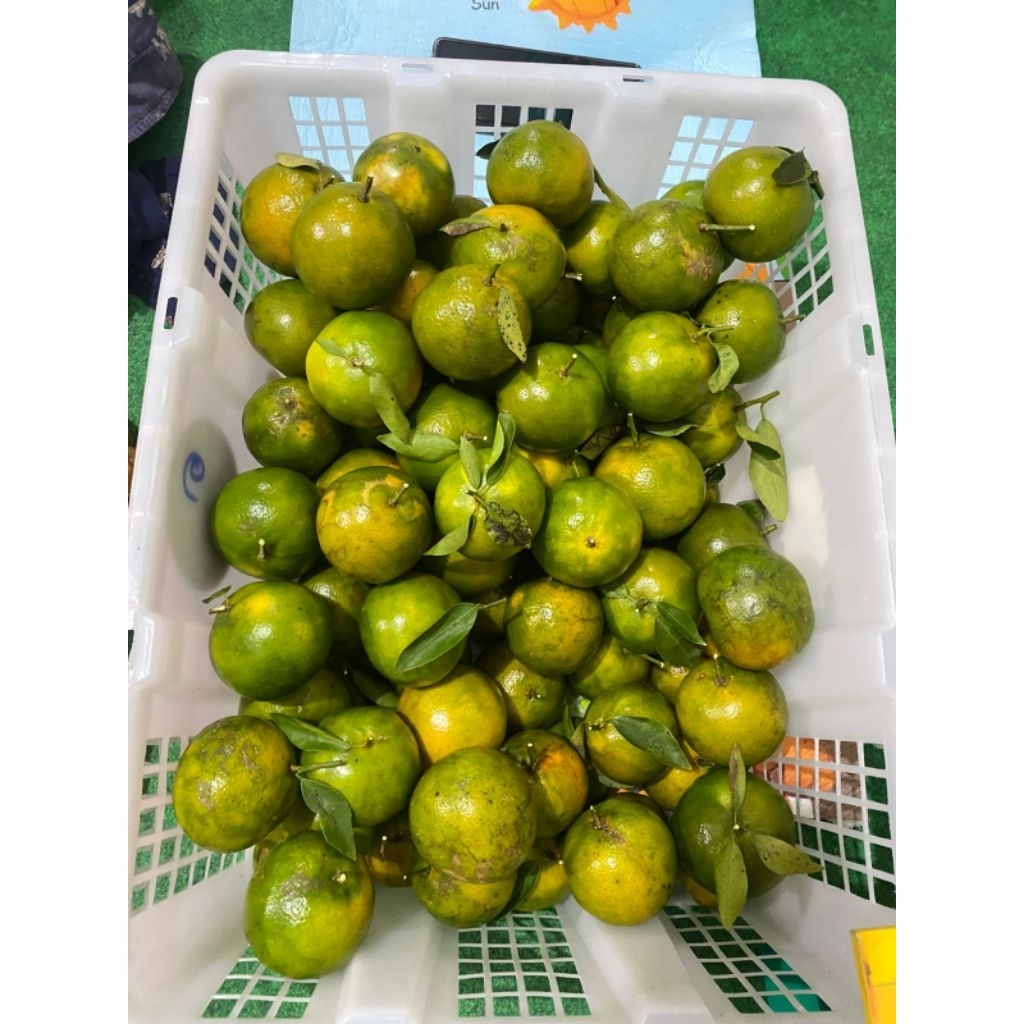 

Jeruk super manis per biji