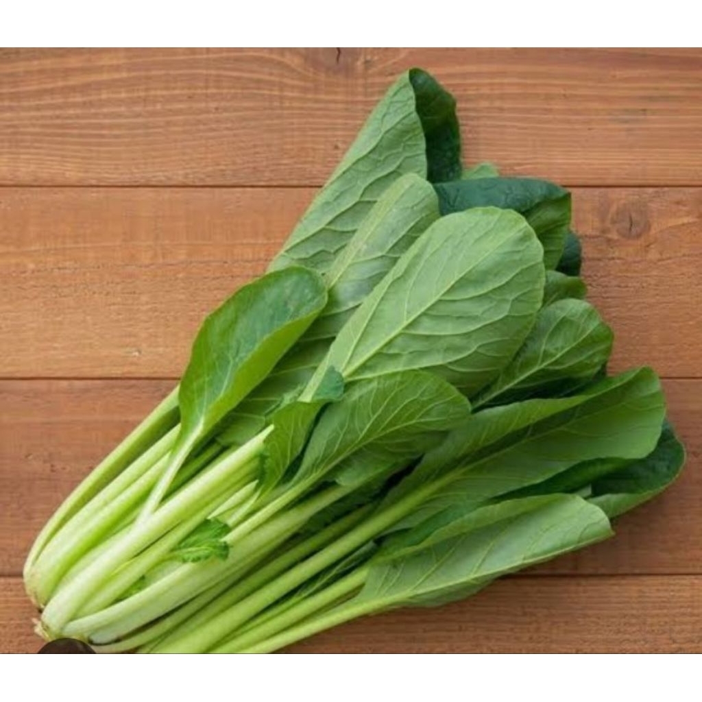 

sayur sawi hijau segar