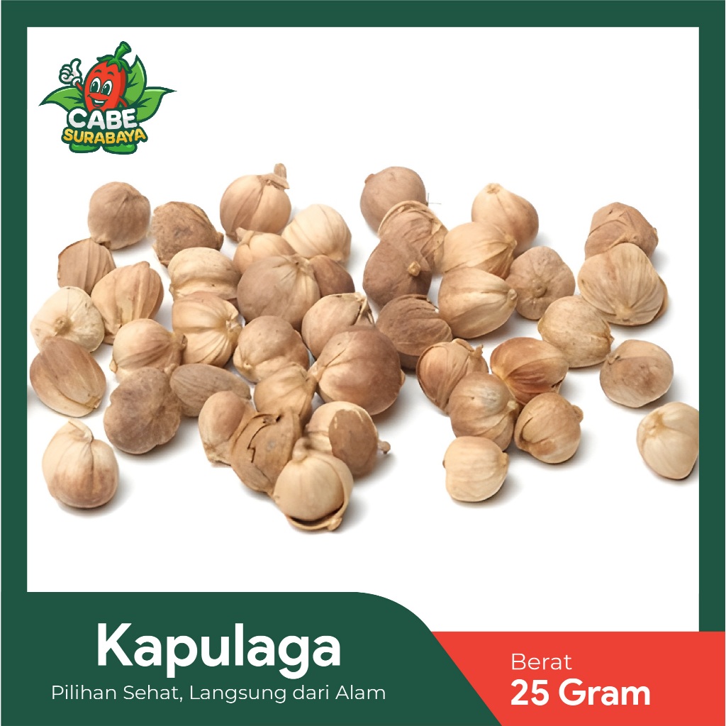 

Kapulaga Putih / Kapulaga Kering