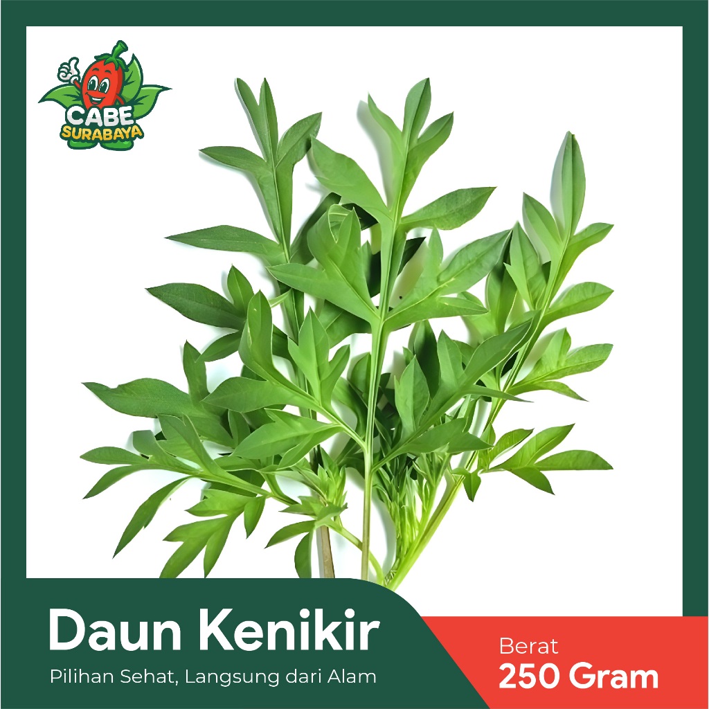

Daun Kenikir 500 gram