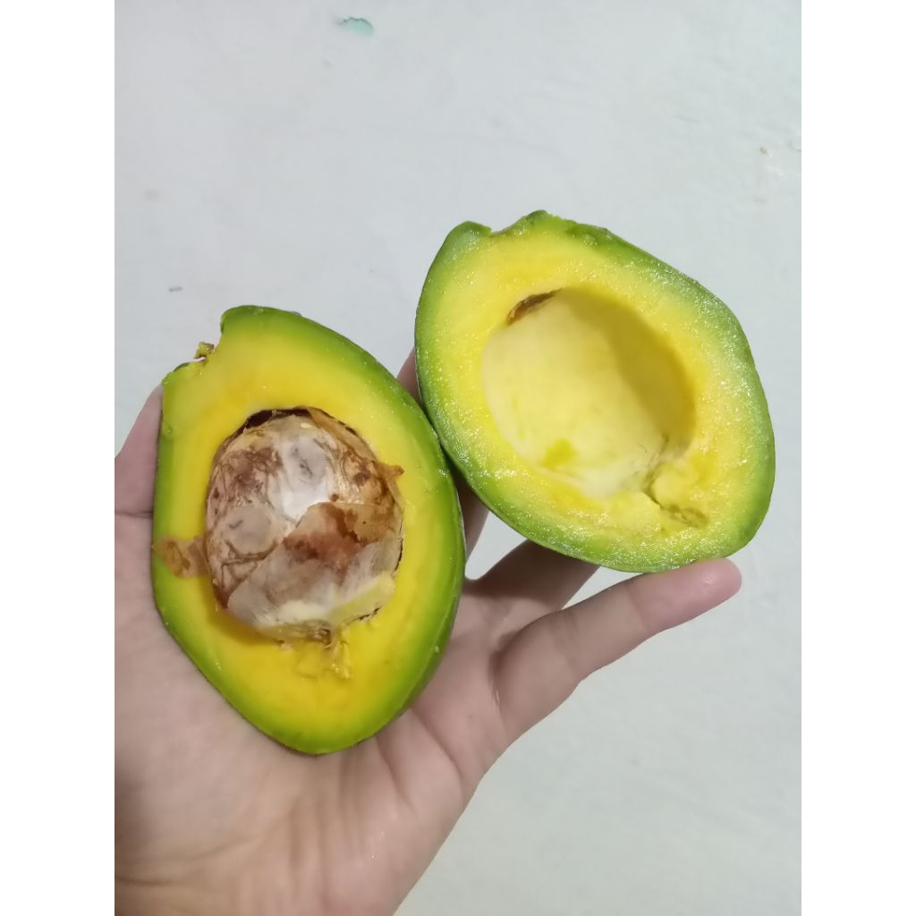 

Alpukat mentega Legit Lampung perKg