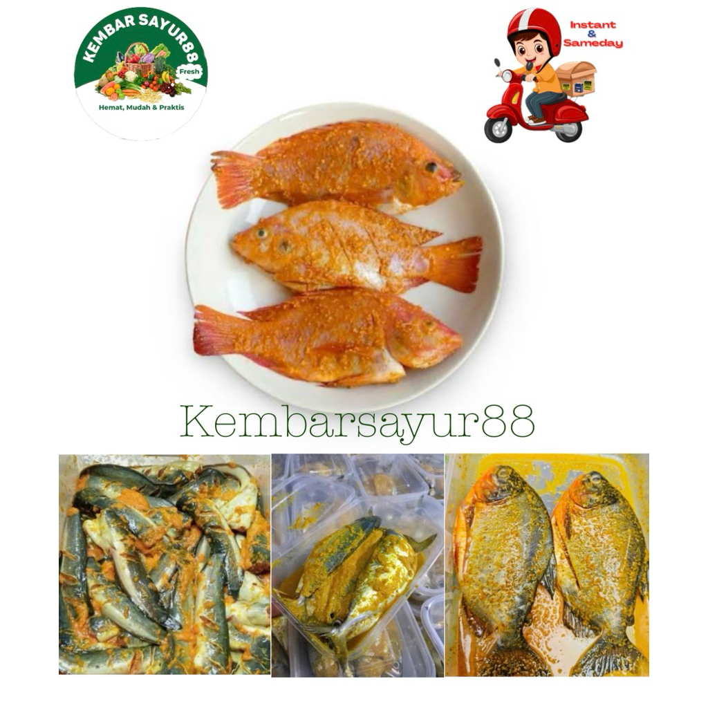 

Ikan Segar Marinasi tinggal goreng dan sajikan bumbu rempah rempah segar - kembarsayur88