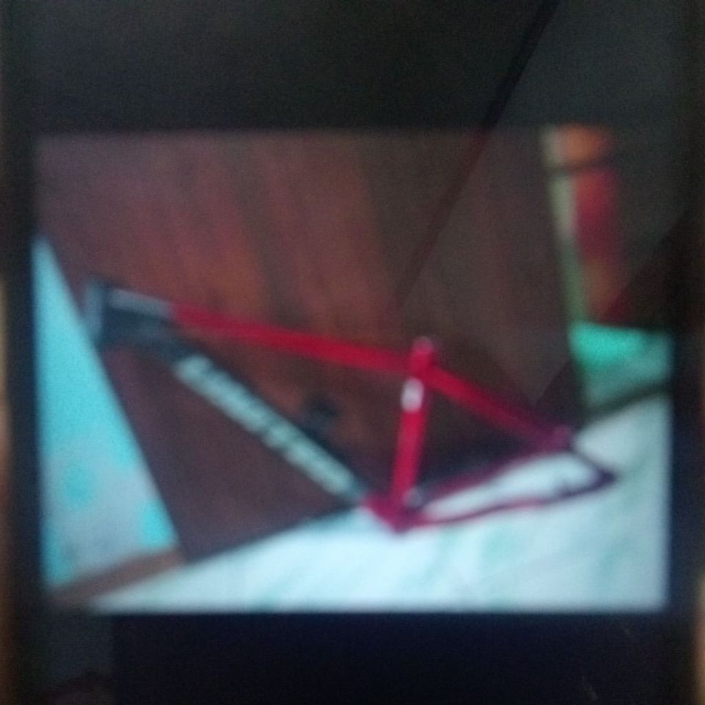 Frame United Clovis size S