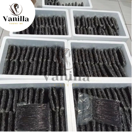

Vanilla Bean Gourmet, Vanilla Vieny Su, Kualitas Ekspor, Grade A++, 1 kg