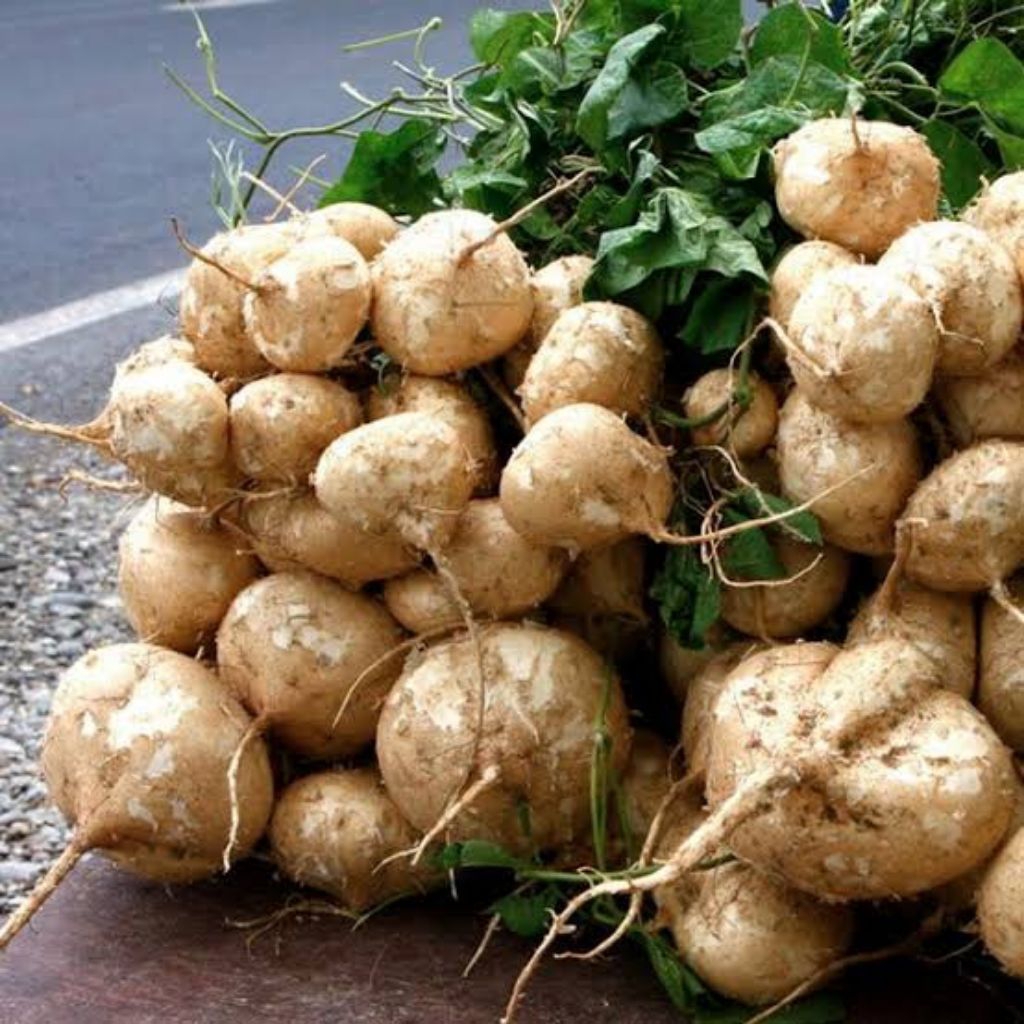 

BENGKOANG KEBUMEN BESUSU KEBUMEN