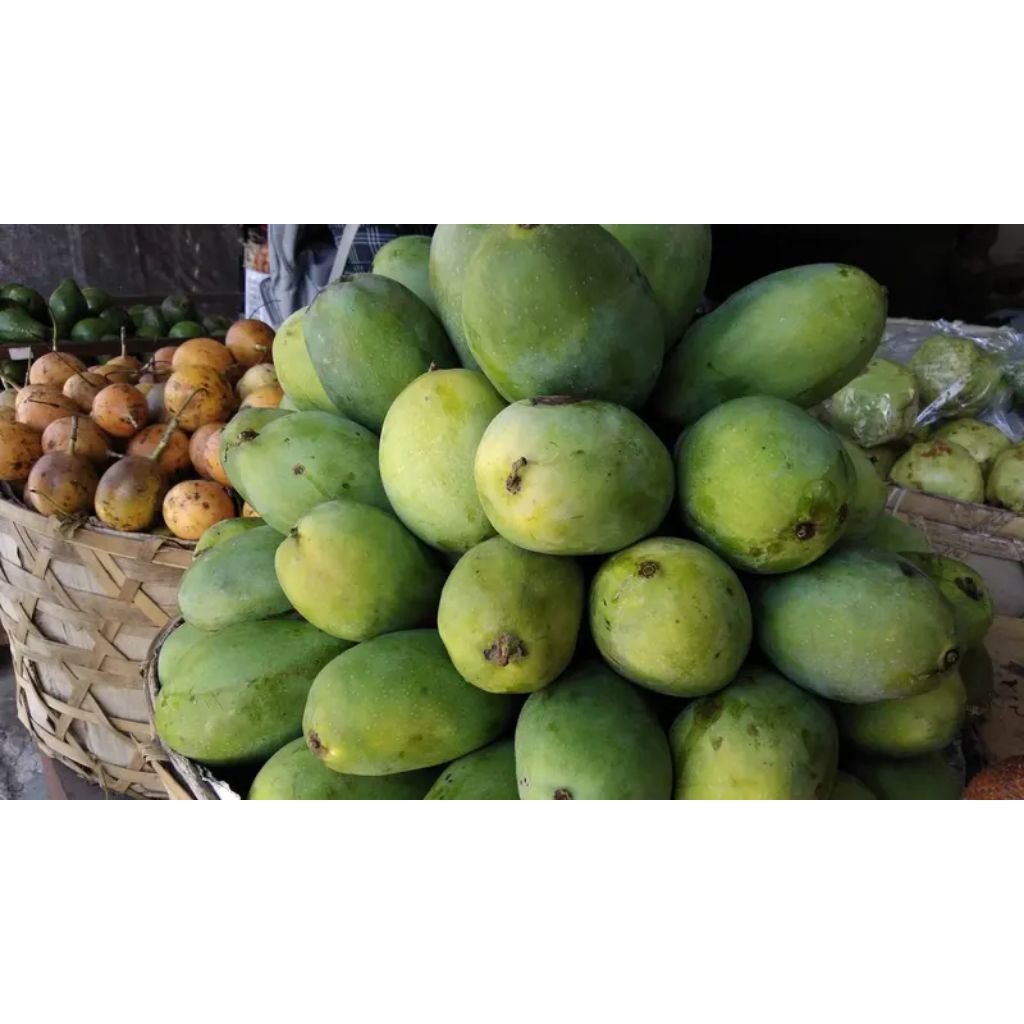

buah mangga gadung 1kg Pelem gadung arumanis