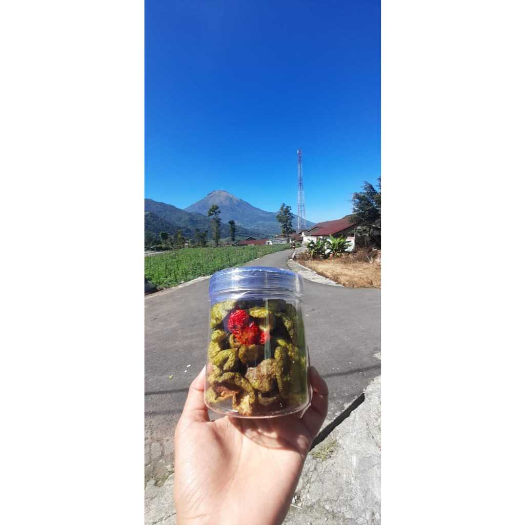 

Keripik Cabai Gendot Khas Dieng
