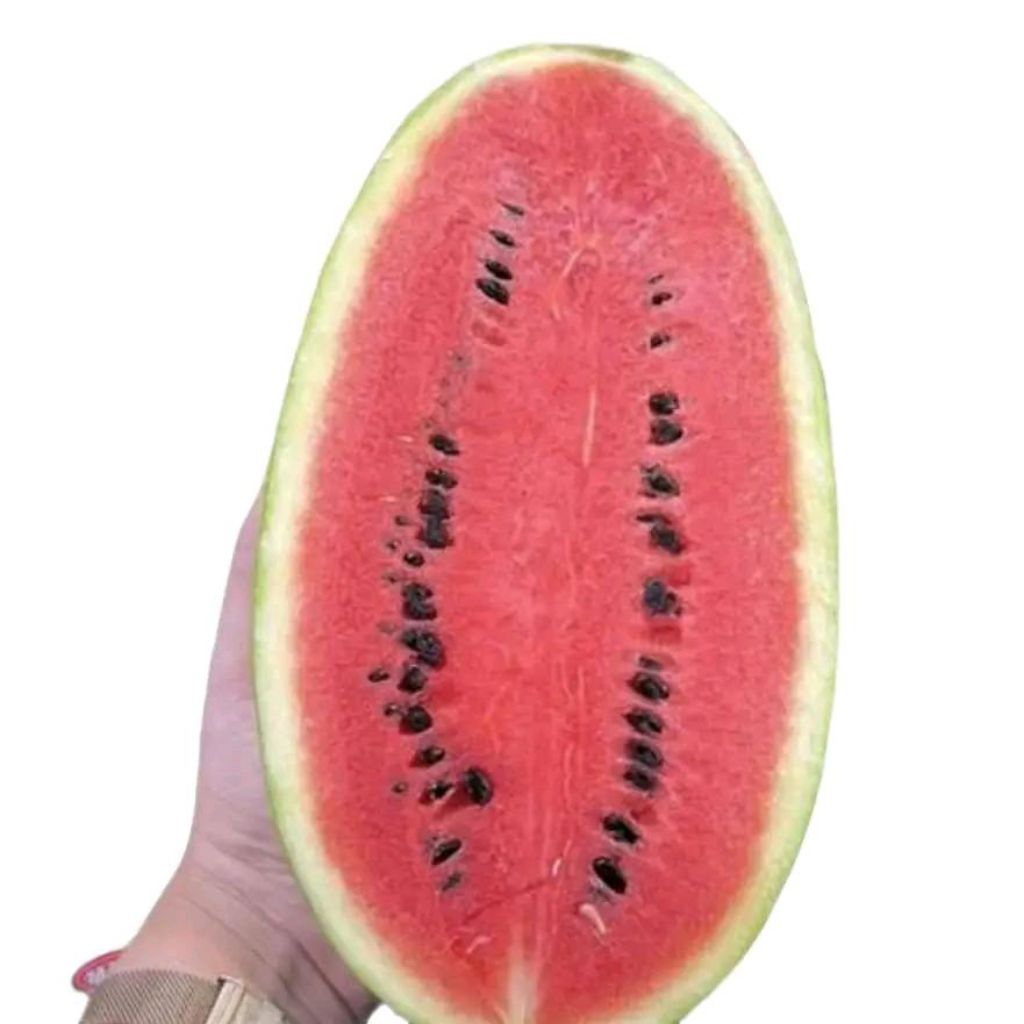 

Buah semangka super manis semangka segar baby super sweet | pcs