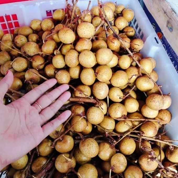 

LENGKENG BANGKOK THAILAND