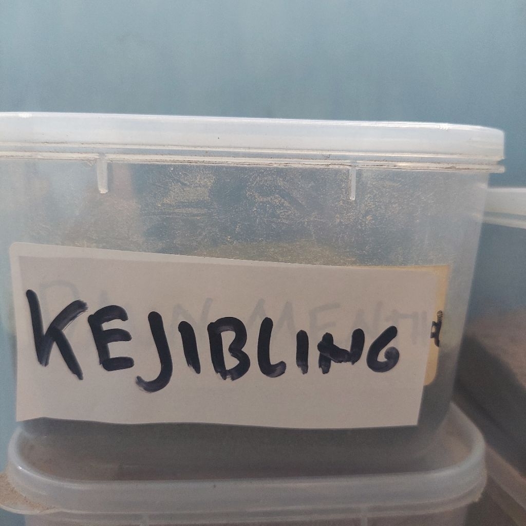 

100gr Daun Kejibling Bubuk