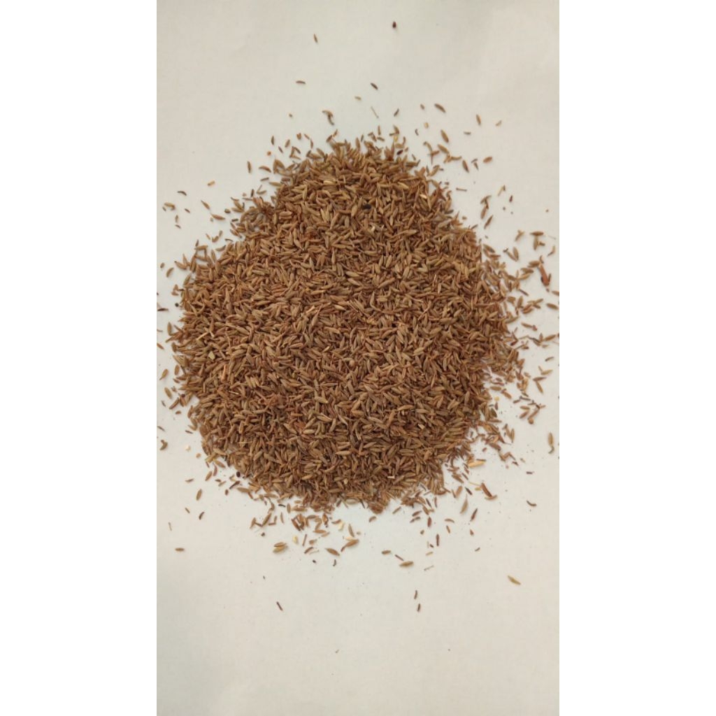 

BIJI CUMIN | CUMIN SEED (250 GRAM) 100% ASLI