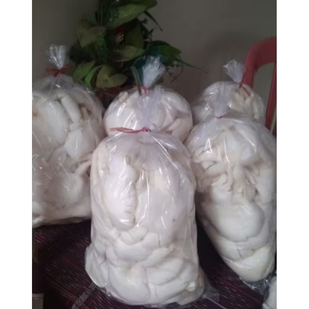 

jamur tiram segar bppn