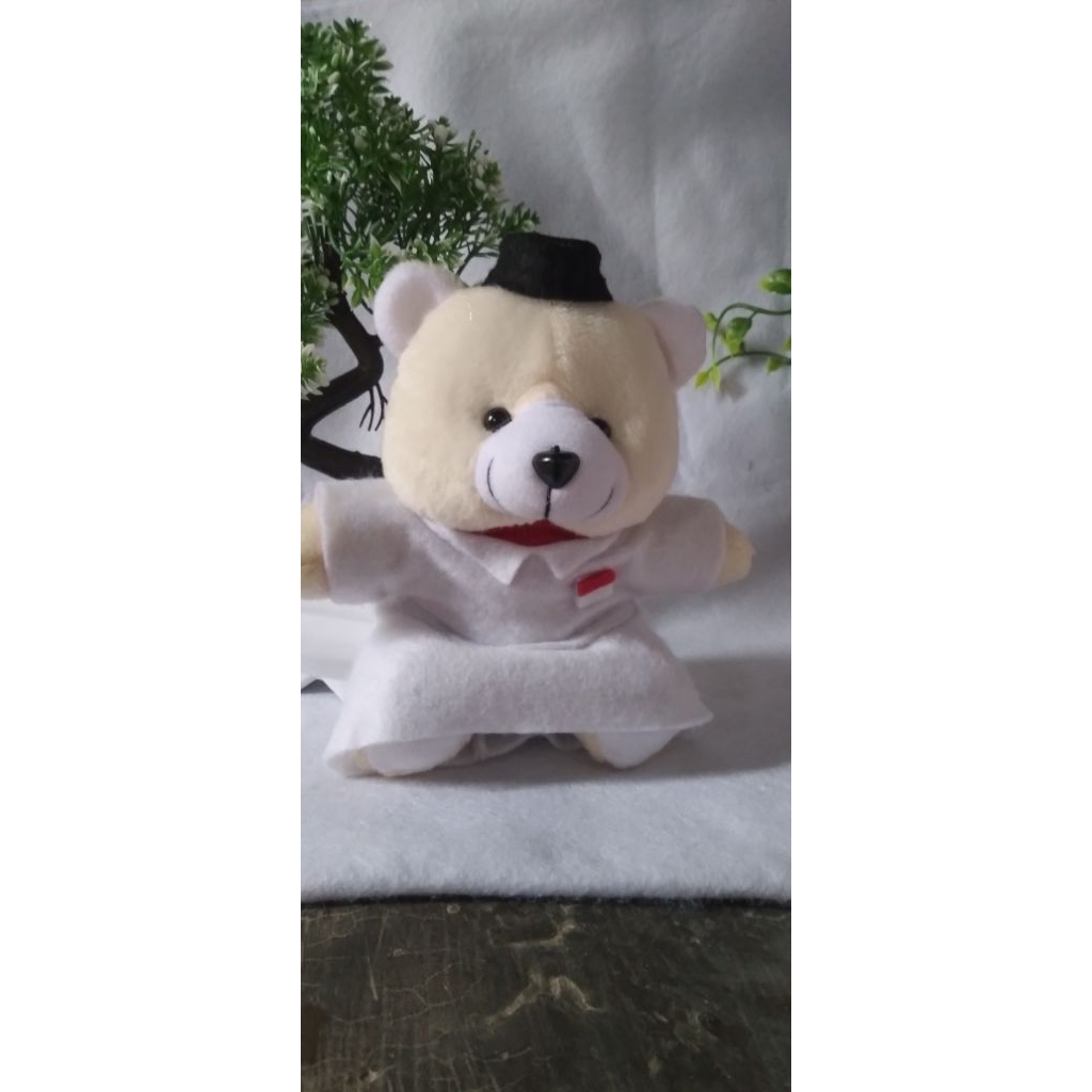 Boneka beruang PASKIBRA perempuan dan laki²
