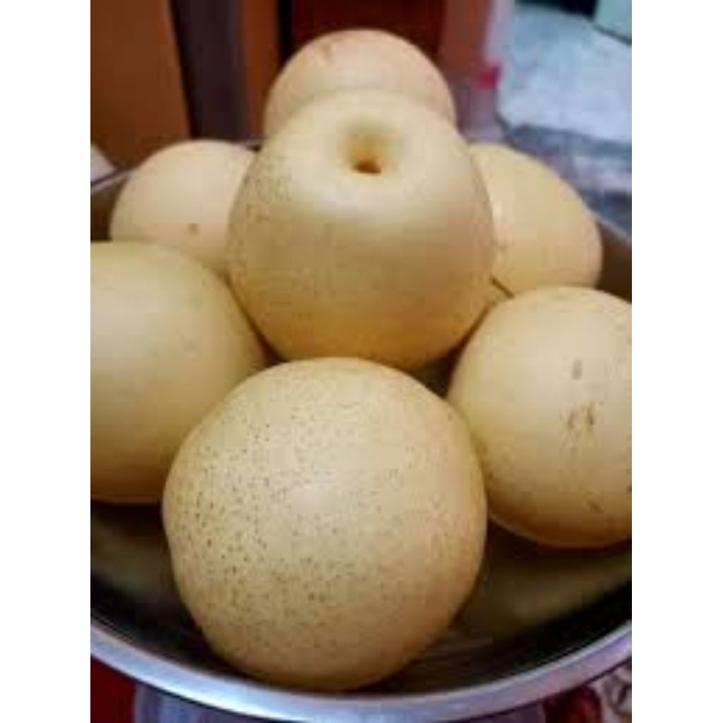 

buah pear segar dan berkualitas