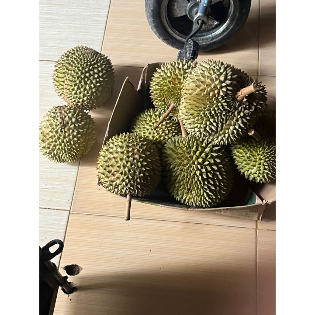 

durian beku