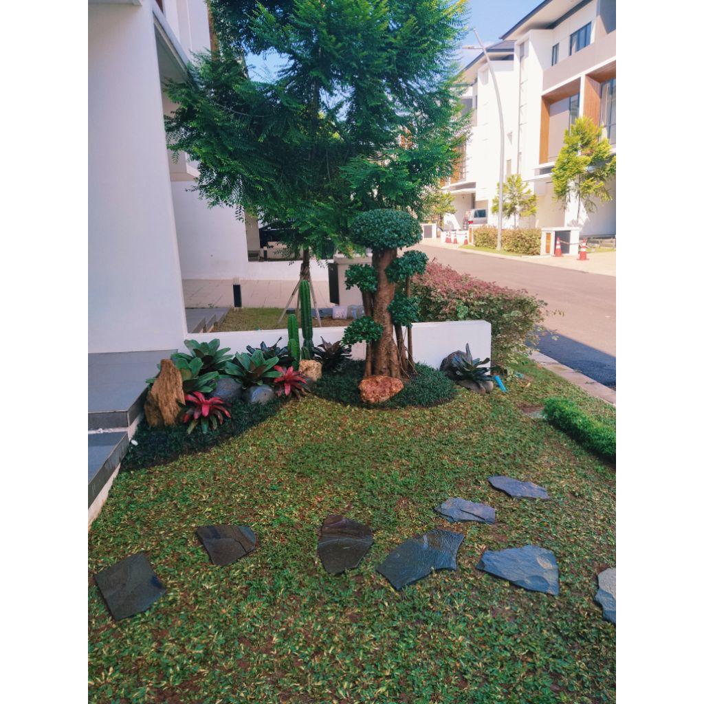 jasa pembuatan taman bonsai dolar micro / bonsai dolar mikro / taman outdoor